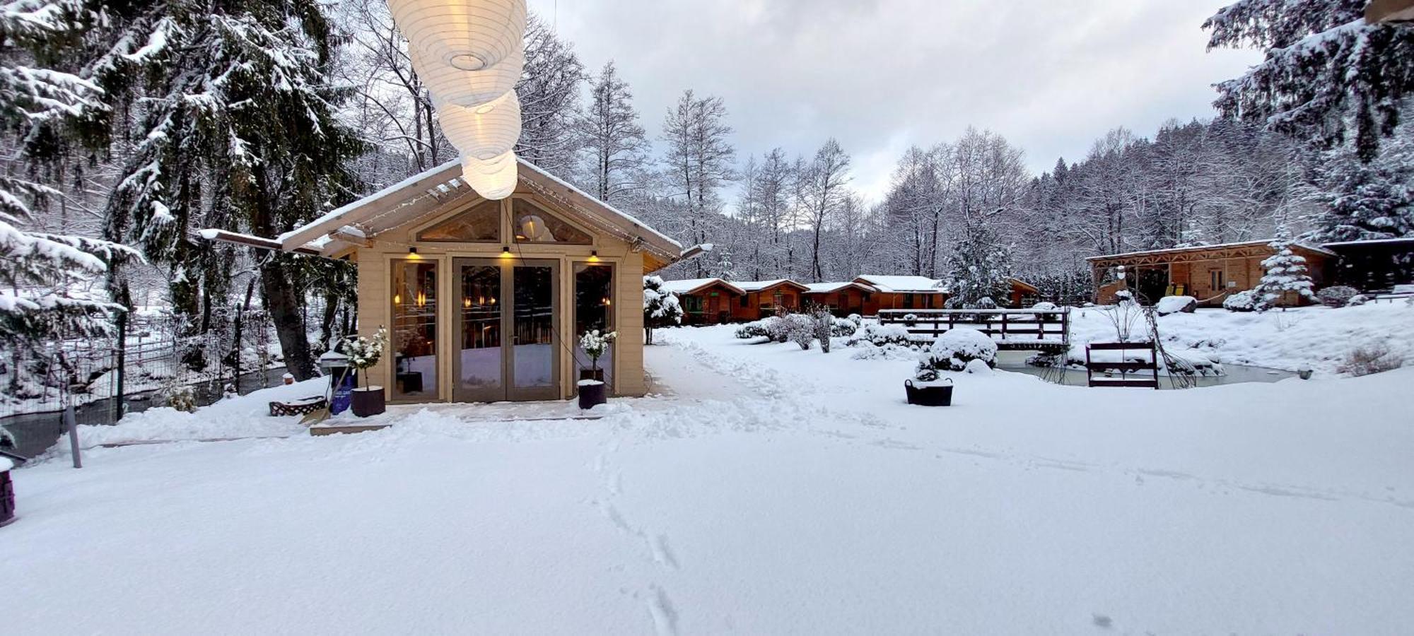 Vidra Park Hotel Sicasau Exterior photo